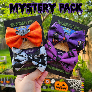 Mystery Hair Bow Clips - 2 Pack